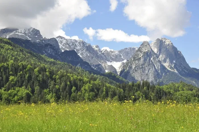Framed Print : Bavaria, spring, meadow, Wetterstein range