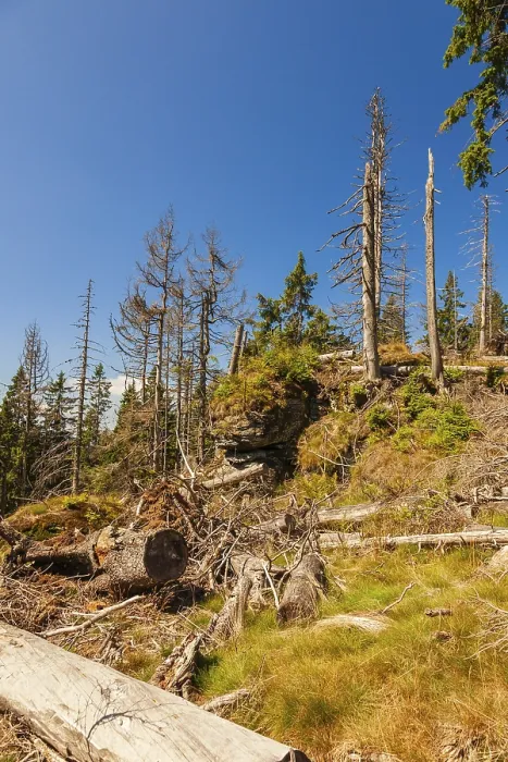 Framed Print : Bavarian Forest, Falkenstein area
