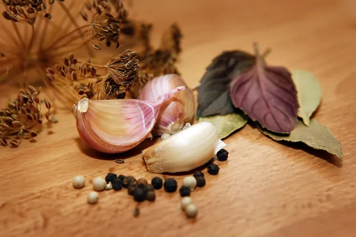 Framed Print : Bay leaves, pepper, dill, garlic - Ingredients for pickling