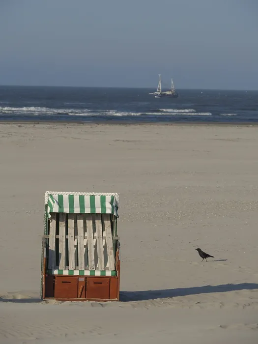 Framed Print : Beach chair on sandy beach with a bird Framed Print : Beach chair on sandy beach with a bird