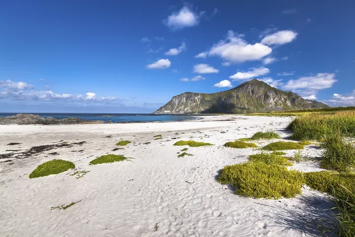 Framed Print : Beach near Flakstad, Flakstadoya Framed Print : Beach near Flakstad, Flakstadoya