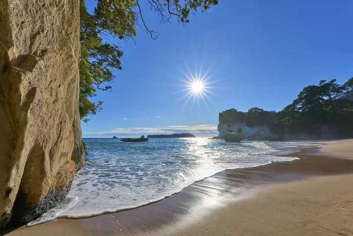Framed Print : Beach with sunlight and trees in the background Framed Print : Beach with sunlight and trees in the background