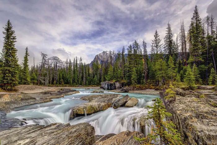 Framed Print : Beautiful autumn landscape scene in mountain in background in Yoho National Parkwest Canada