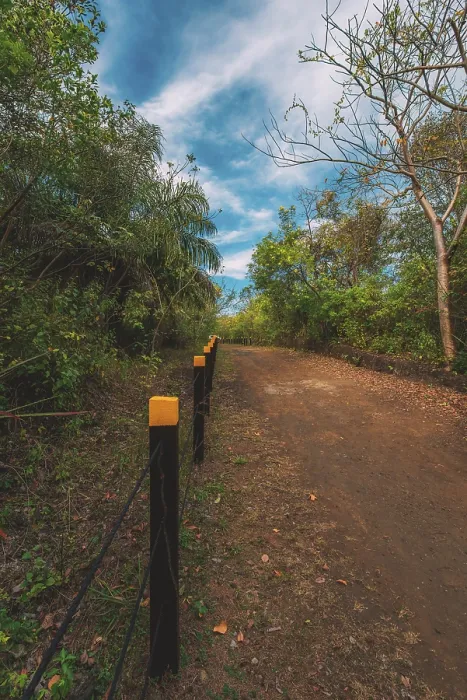 Framed Print : Beautiful dirt road surrounded by foliage with a blue sky