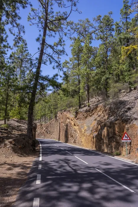 Framed Print : Beautiful forest road on the way up to the Teide Natural Park in Tenerife