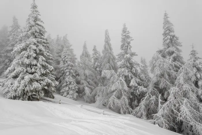 Framed Print : Beautiful landscape with mist in winter forest