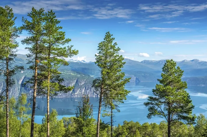 Framed Print : Beautiful landscape in Norway with Summer weather and sunshine Framed Print : Beautiful landscape in Norway with Summer weather and sunshine