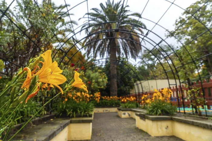 Framed Print : Beautiful path in a botanical garden
