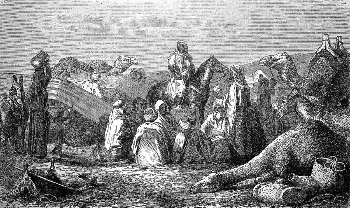 Framed Print : Bedouin camp in the desert, camel caravan Framed Print : Bedouin camp in the desert, camel caravan