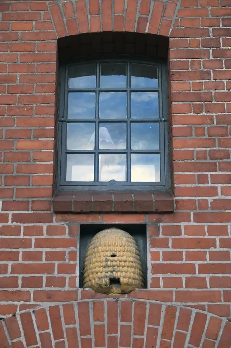 Framed Print : Beehive under an industrial window