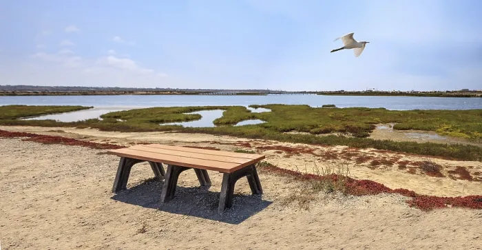 Framed Print : Bench overlooking the peaceful and tranquil marsh of Bolsa Chica wetlands in Huntington Beach Framed Print : Bench overlooking the peaceful and tranquil marsh of Bolsa Chica wetlands in Huntington Beach