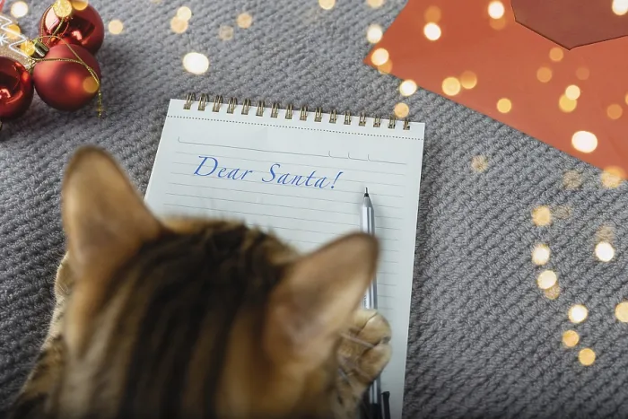 Framed Print : Bengal cat is writing a Christmas letter to Santa Claus Framed Print : Bengal cat is writing a Christmas letter to Santa Claus