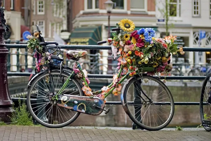 Framed Print : Bicycle decorated with flowers