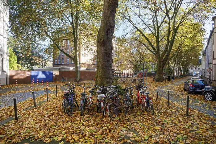 Framed Print : Bicycle parking in autumn leaves