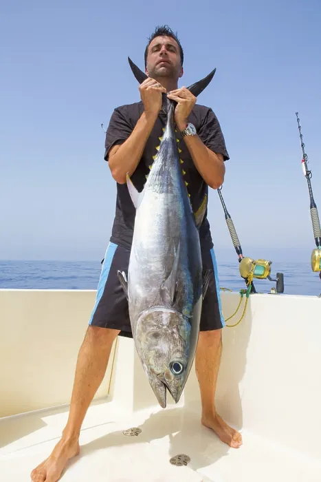 Framed Print : Big Bluefin tuna catch by fisherman on boat trolling posing on deck Framed Print : Big Bluefin tuna catch by fisherman on boat trolling posing on deck