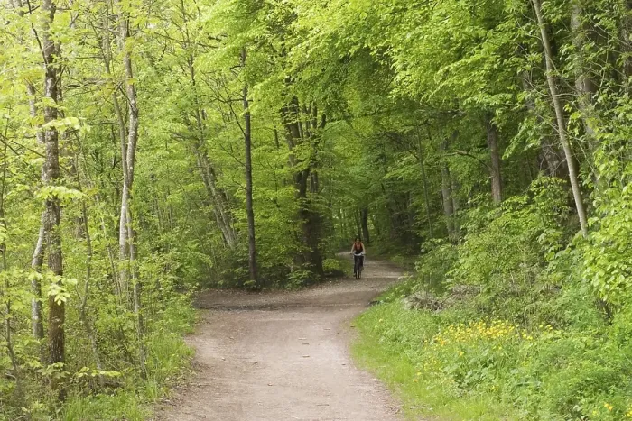 Framed Print : Biker in forest near Baierbrunn - Germany