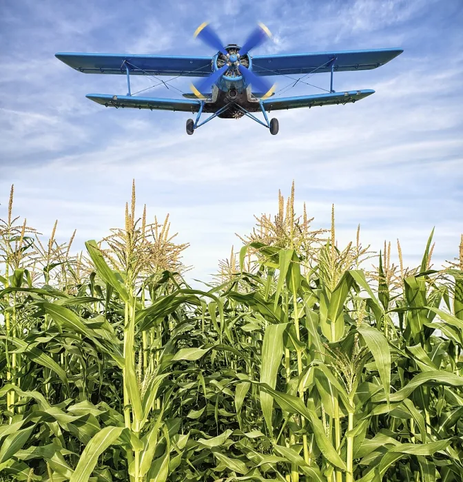 Framed Print : biplane over a maize field