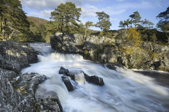 Framed Print : Birch (Betula pendula) and Scots Pine (Pinus sylvestris) forest around River Strathfarrar