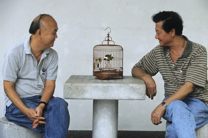 Framed Print : Bird market in Mong Kok, Kowloon, Hongkong, China