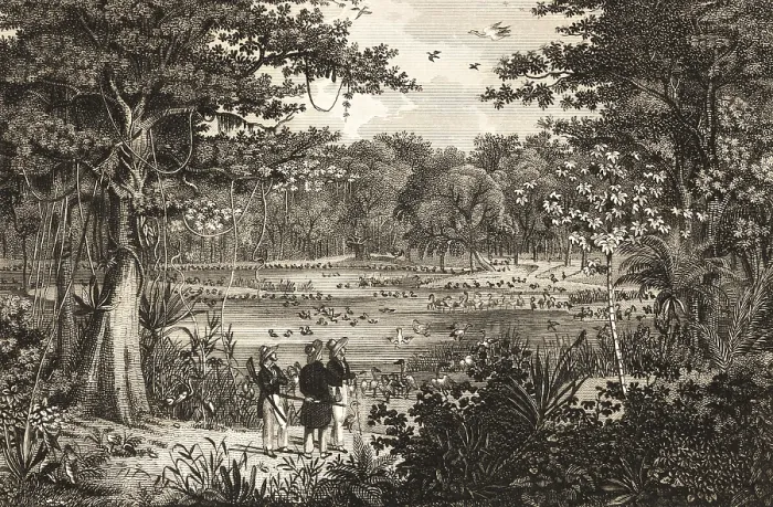 Framed Print : Bird pond on Rio Sao Fransico