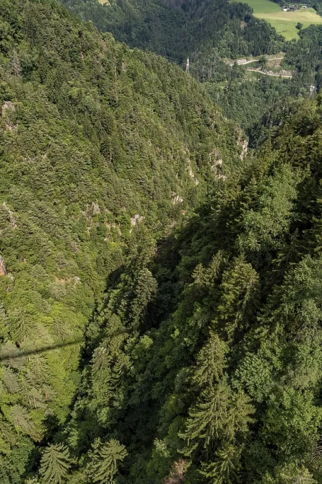 Framed Print : Bird's eye view of dense coniferous forest in a steep gorge Bird's eye view of dense coniferous forest in a steep Framed Print : Bird's eye view of dense coniferous forest in a steep gorge Bird's eye view of dense coniferous forest in a steep