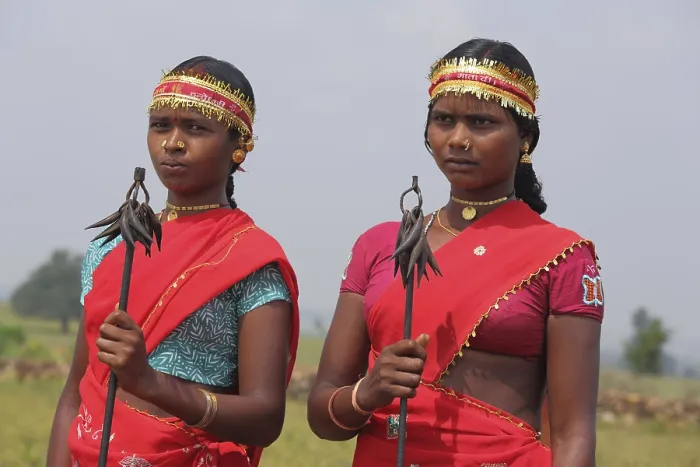 Framed Print : Bison horn dancers, bastar, chhattisgarh