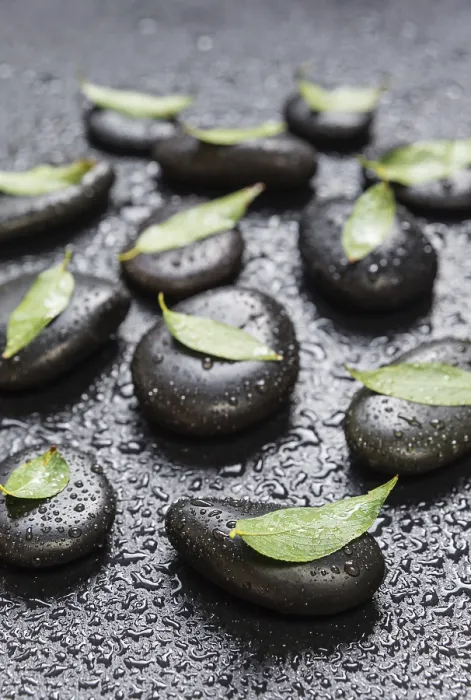 Framed Print : Several black basalt massage stones with green leaves on them