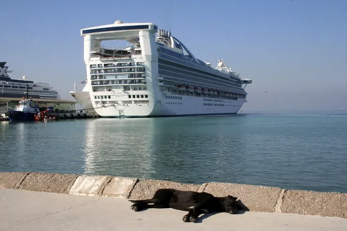Framed Print : A black dog takes a nap against the backdrop of a cruise ship in the port of Kusadasi