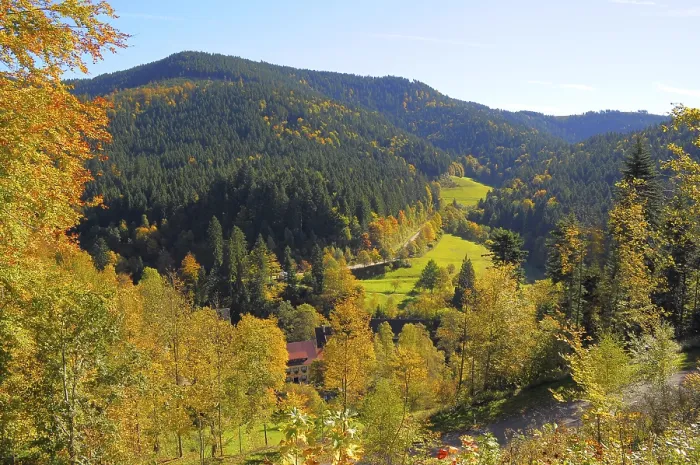 Framed Print : Black Forest near All Saints Day in autumn