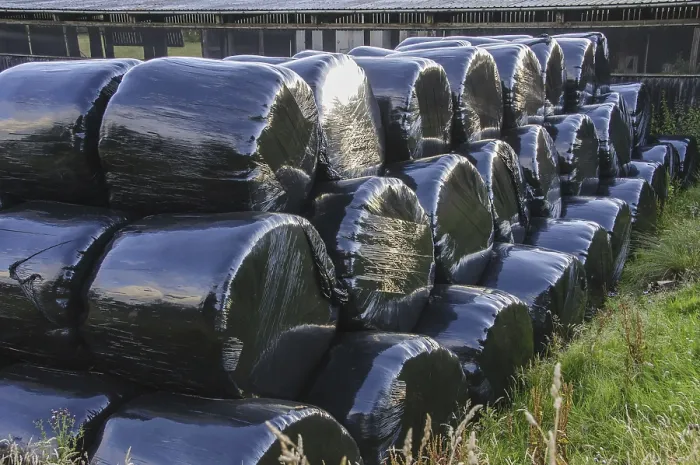 Framed Print : Black plastic-wrapped silage big bales