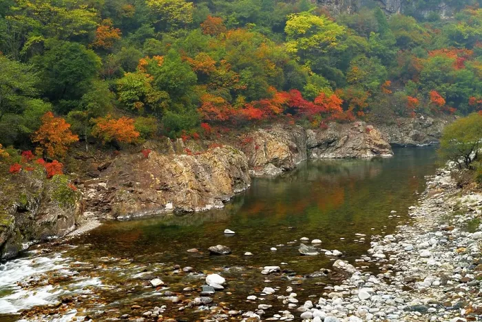 Framed Print : Black River in autumn landscape Framed Print : Black River in autumn landscape