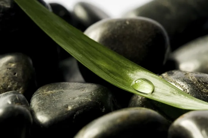 Framed Print : Black spa stones with a green leaf with drops
