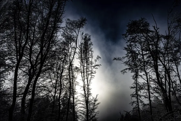 Framed Print : Black tree silhouettes against a dramatically cloudy night sky