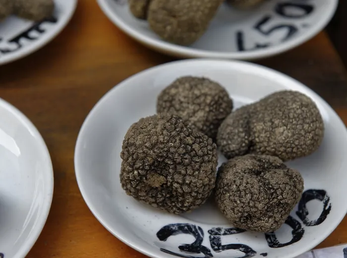 Framed Print : Black truffles in delicatessen shop Framed Print : Black truffles in delicatessen shop