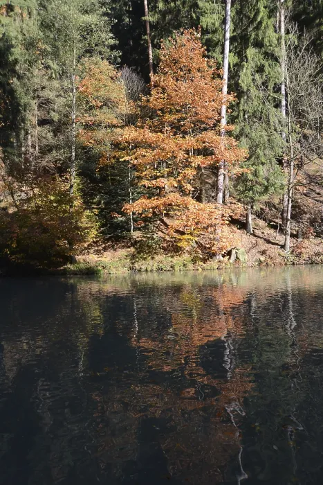 Framed Print : Blackbird lake, autumn, Rathen health resort Framed Print : Blackbird lake, autumn, Rathen health resort