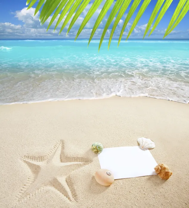 Framed Print : Blank paper on white sand beach with shells and starfish print like a summer vacation concept