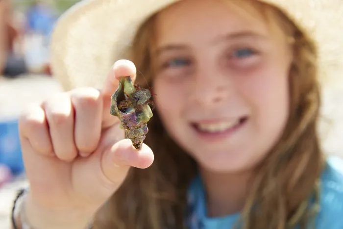 Framed Print : Blonk kid girl holding hermit crab closeup