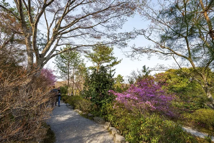 Framed Print : Blooming bushes in Sogenchi Teien Japanese Garden Framed Print : Blooming bushes in Sogenchi Teien Japanese Garden