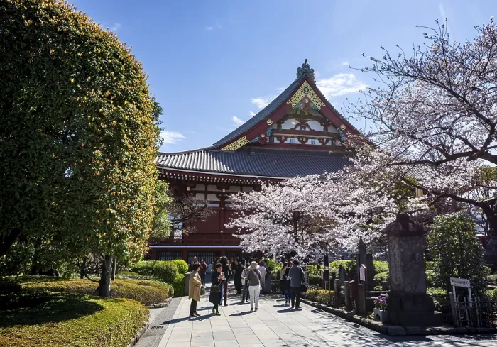 Framed Print : Blooming cherry trees and red-gold roof gable of a temple building Framed Print : Blooming cherry trees and red-gold roof gable of a temple building