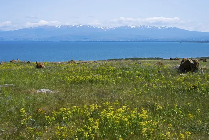 Framed Print : Blooming meadow in front of a lake with mountains in the background