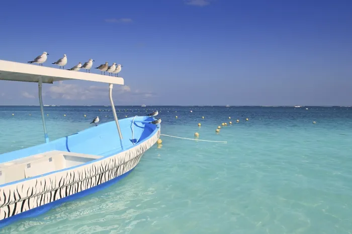 Framed Print : Blue boat seagulls Caribbean in turquoise sea