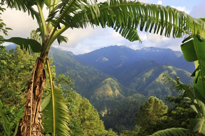Framed Print : The Blue Mountains in Jamaica, Caribbean Framed Print : The Blue Mountains in Jamaica, Caribbean
