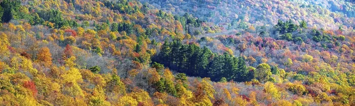 Framed Print : Blue Ridge Mountains in autumn in North Carolina