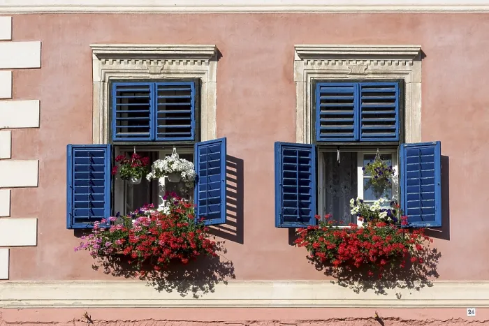 Framed Print : Blue windows with flowerpots of a house on Piata Mica