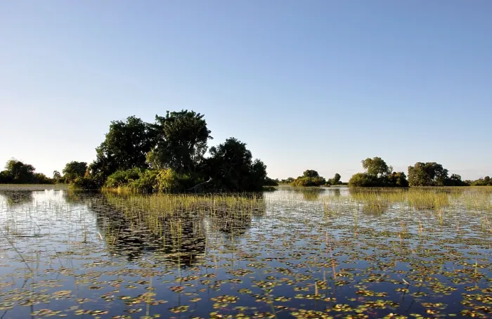 Framed Print : Boat-trip through the Okavango-Delta swamps in the Kalahari-desert