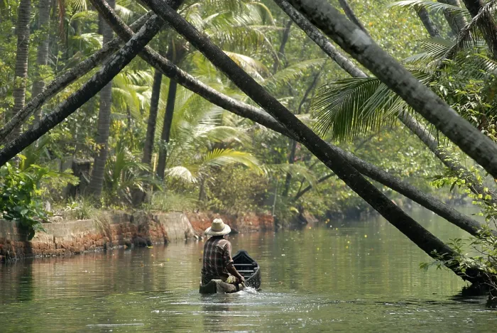 Framed Print : Boating in backwater, Kerala, India