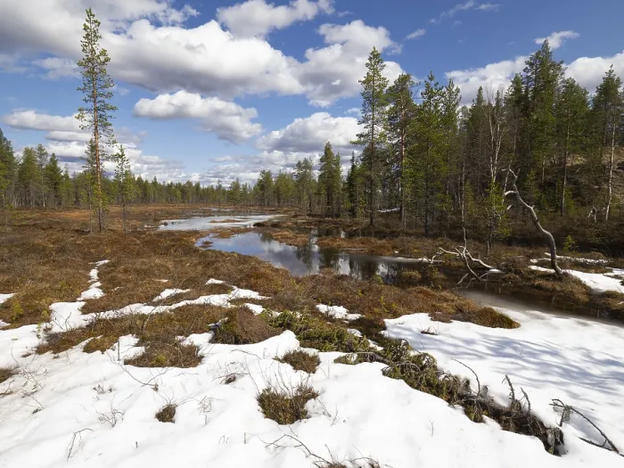 Framed Print : Bog and marshland, with pools of water and remnants of snow Framed Print : Bog and marshland, with pools of water and remnants of snow