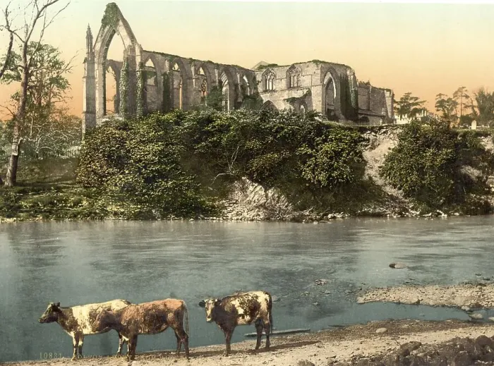 Framed Print : Bolton Abbey, Ruin of a 12th century monastery in Yorkshire