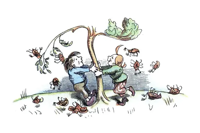 Framed Print : Book illustration, Max and Moritz shaking May beetles off the tree