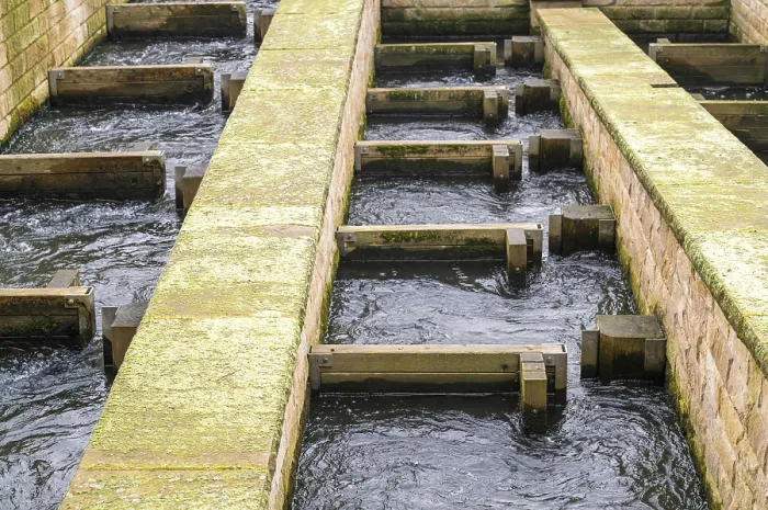 Framed Print : Borken, NRW, Germany, Water flowing through a man-made fish ladder